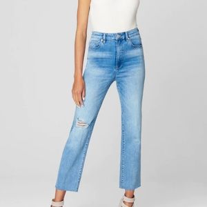 BlankNYC The Baxter Ribcage Jeans in Love To See It